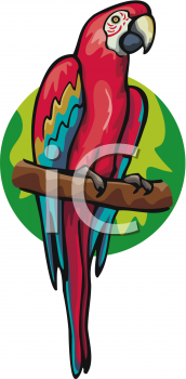 Parrot Clipart