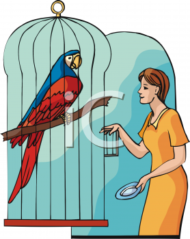 Parrot Clipart