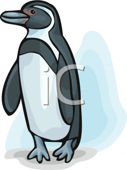 Penguin Clipart