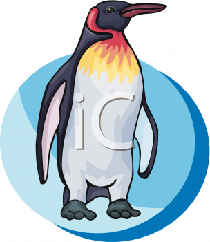 Penguin Clipart