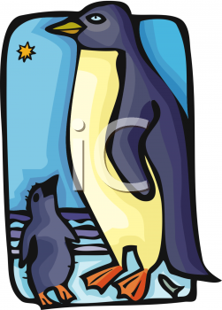 Penguin Clipart