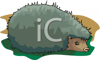 Hedgehog Clipart