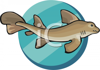 Hawk Clipart