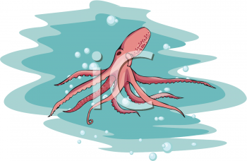 Octopus Clipart