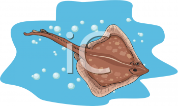 Shark Clipart