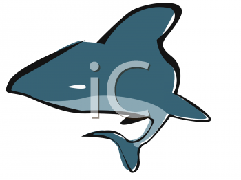 Shark Clipart