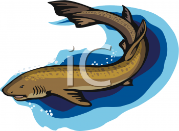 Shark Clipart