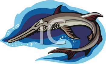 Shark Clipart