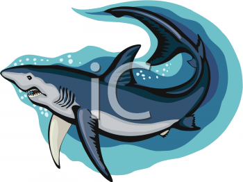 Shark Clipart