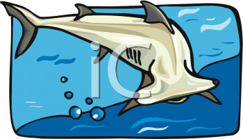 Shark Clipart
