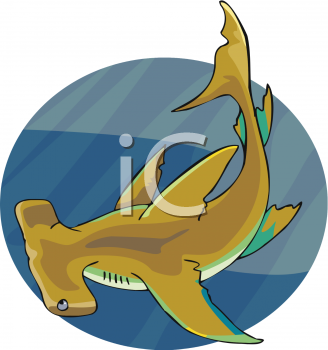 Shark Clipart