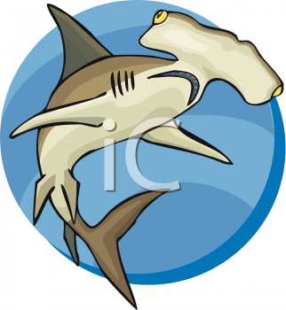 Shark Clipart