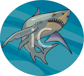 Shark Clipart