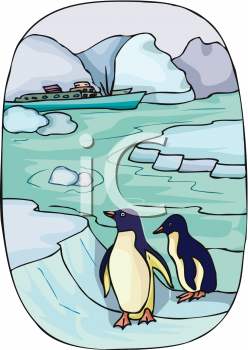 Penguin Clipart