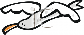 Seagull Clipart