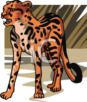 Leopard Clipart
