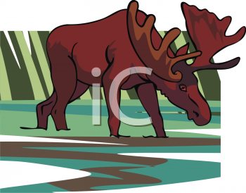 Moose Clipart
