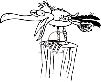 Seagull Clipart