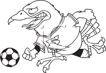 Hawk Clipart