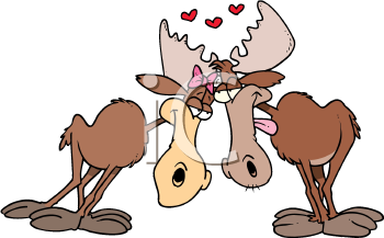Moose Clipart