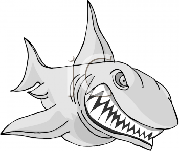 Shark Clipart