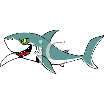 Shark Clipart