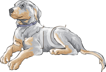 Leopard Clipart