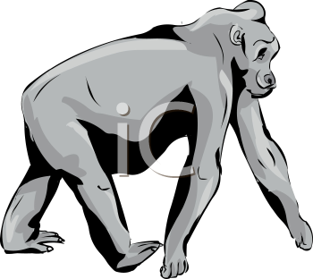 Gorilla Clipart