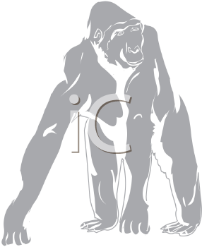 Gorilla Clipart