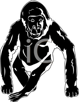 Gorilla Clipart
