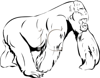 Gorilla Clipart