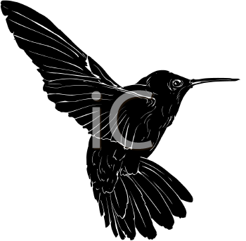 Hummingbird Clipart