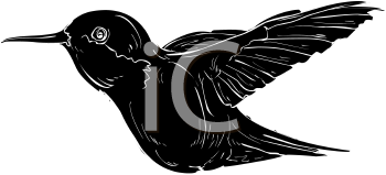 Hummingbird Clipart