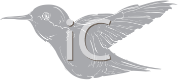 Hummingbird Clipart