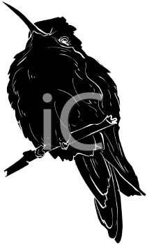 Hummingbird Clipart