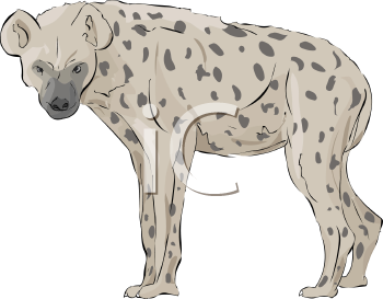 Hyena Clipart
