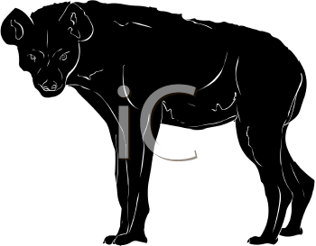 Hyena Clipart