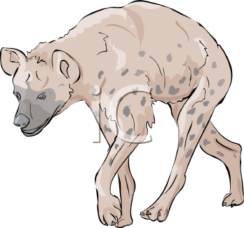 Hyena Clipart