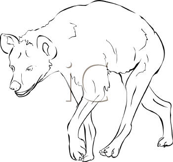 Hyena Clipart