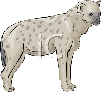 Hyena Clipart