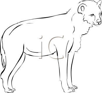 Hyena Clipart