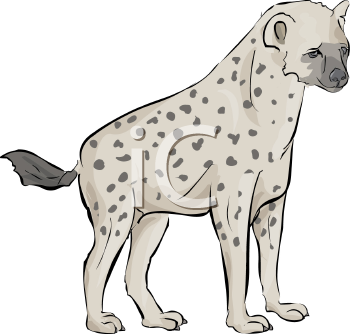 Hyena Clipart