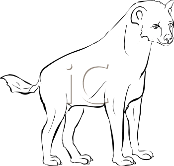 Hyena Clipart