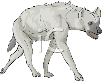 Hyena Clipart