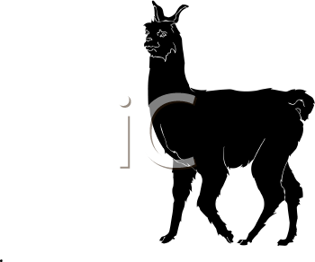 Llama Clipart