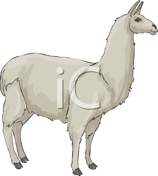 Llama Clipart
