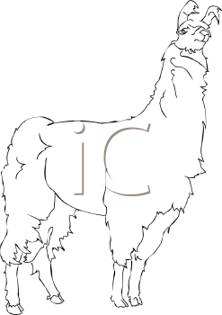 Llama Clipart
