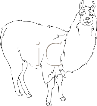 Llama Clipart
