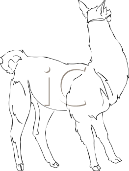 Llama Clipart