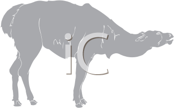 Llama Clipart